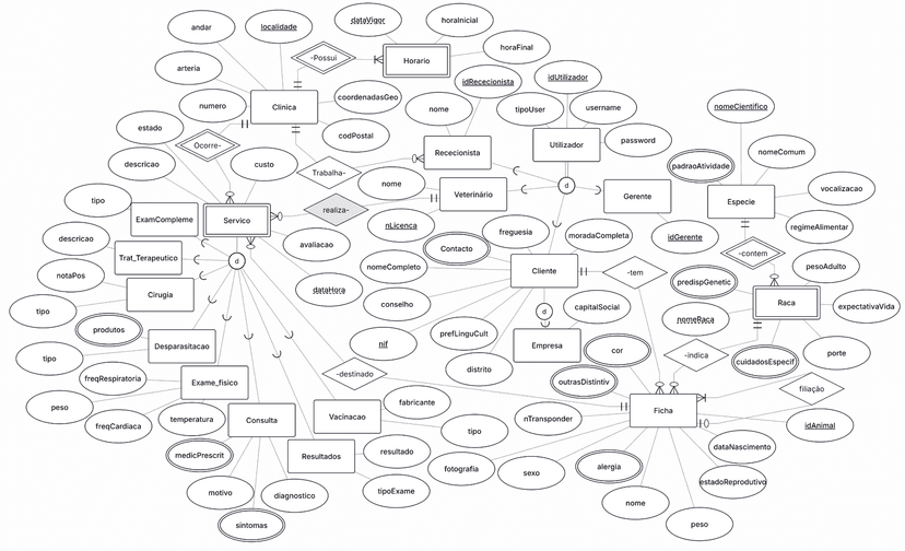 VetCare Database and JDBC Application